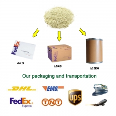 Hericium Erinaceus powder