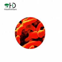 Bifidobacterium breve