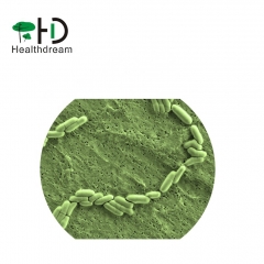 Bifidobacterium lactis