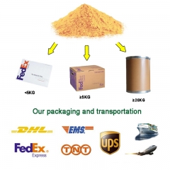 Seabuckthorn Fruit Powder