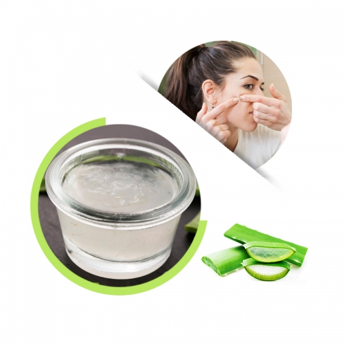 10:1 Aloe Vera Gel Concentrated Juice