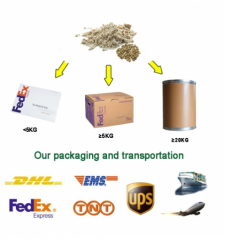 Milk thistle seed extract