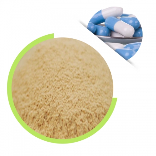 Beta Glucancse