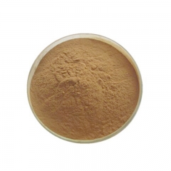 Pumpkin seed P.E 40%fatty acid