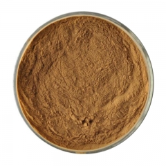 Gymnema Sylvestre