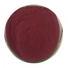 Black Carrot Juice Powder Extract/Purple Carrot Powder Extract