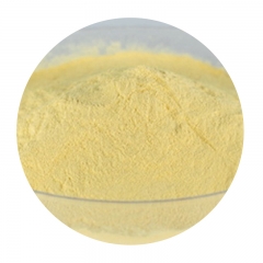 Vitamin A Palmitate
