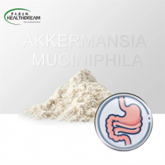 Akkermansia Muciniphila