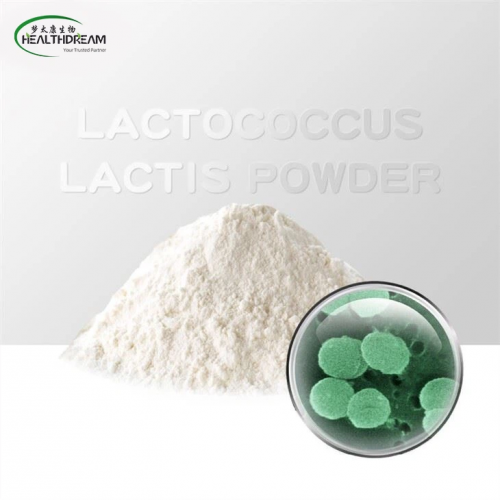 Lactococcus lactis powder